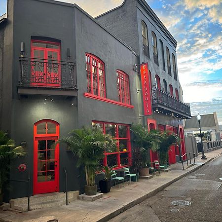 Catahoula Hotel Nueva Orleans Exterior foto